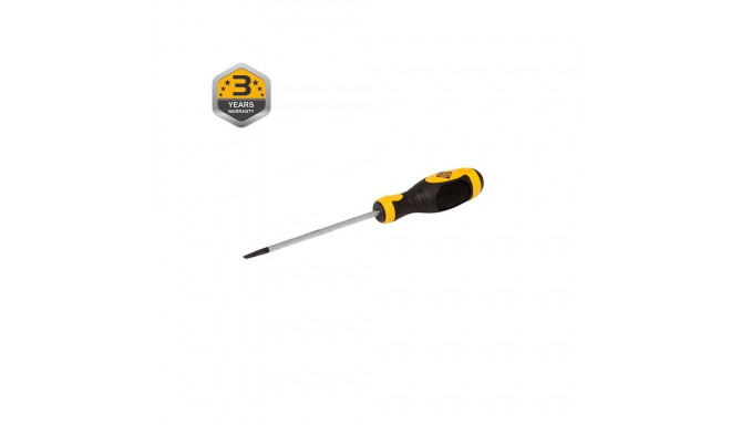 FLAT HEAD SCREWDRIVER (SL4.0 X 100 MM)