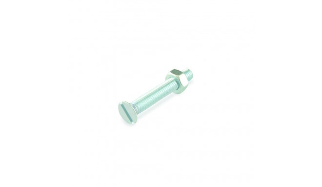masinapolt M 4x30 tsink DIN963/10 tk