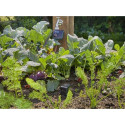 Gardena smart Sensor Control