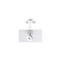 Paulmann Base Rail lighting spot LED