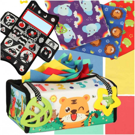 Sorter sensoorsed montessori pühkekarbid matt 2in1