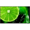 "NEC MultiSync E498 49' Display UHD"