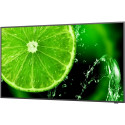 "NEC MultiSync E498 49' Display UHD"