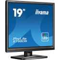 "19.0/48.3cm iiyama ProLite E1980S *schwarz* 5:4"