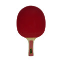 Rakietka do ping ponga Point Derby