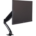 iiyama Monitori lauaalus 10" - 27" (DS3001C-B1)
