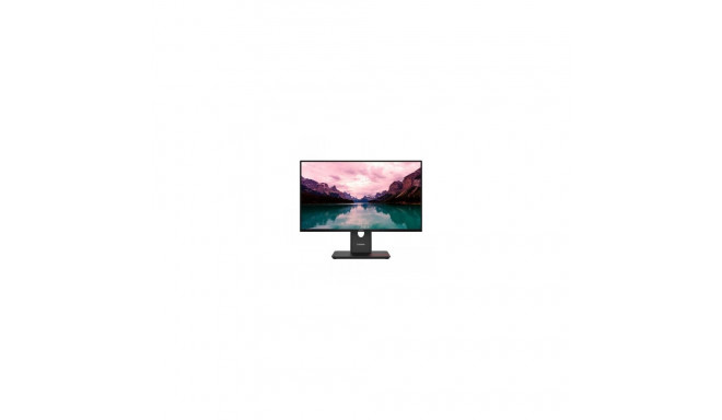 LENOVO 23.8" T24-40 FHD IPS 16:9 VGA/DP/HDMI