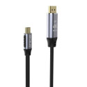 Inca ITCD-20 video cable adapter 2 m USB Type-C HDMI Black, Silver
