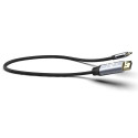 Inca ITCD-20 video cable adapter 2 m USB Type-C HDMI Black, Silver