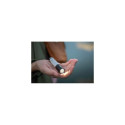 Ansmann 1600-0428 flashlight Black, Silver Hand flashlight LED