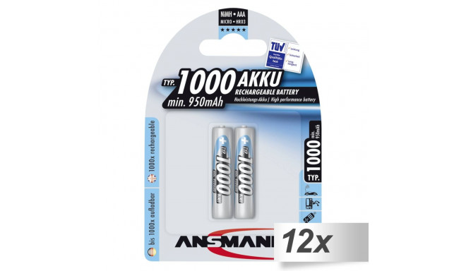 12x2 Ansmann NiMH bat. 1000 Micro AAA 950 mAh