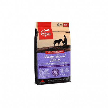 ORIJEN Large Breed Adult kuiv koeratoit 11,4kg