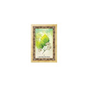 Blue Angel Celtic Tree Oracle Cards