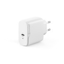 Alogic Rapid Power 65W USB-C PD kiire GaN laadija + USB-C kaabel 2m