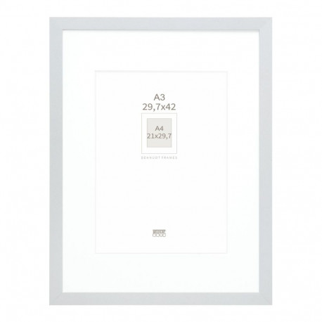 Deknudt S66KD1 P1 DIN A3 29,7x42 puit hõbedane passepartout'ga