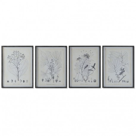 Maal DKD Home Decor Kaasaegne Botaanilised taimed 45 x 2,5 x 60 cm (4 Ühikut)