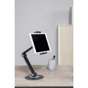 "Neomounts DS15-550BL1 Universal Tablet-Ständer für 4.7-12.9"" - Tablets 1KG"