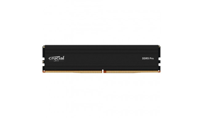 Crucial Pro mälu, DDR5, 24 GB, 6000MHz, CL48 (CP24G60C48U5)