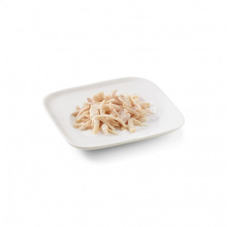 Wet Dog Food - SCHESIR Chicken in Jelly 150g Gluten-Free