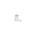Lanberg Lanberg network plug RJ45 (8P8C) CAT.6 UTP (100 PCS) FOR STRANDED AND WIRED
