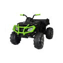 Quad BDM0909 roheline 24V akuga