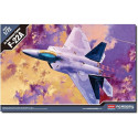 Plastic model F-22 A Raptor