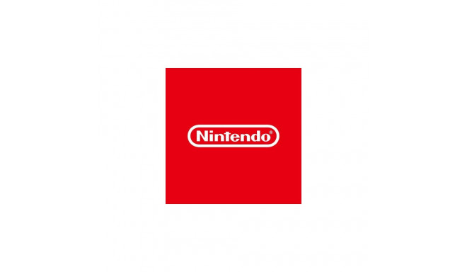 Nintendo NSW-0113 video game Standard English Nintendo Switch