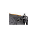 Technaxx TX-186 Belt-drive audio turntable Black, Wood