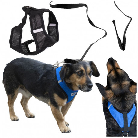 Pingutuseta koerarihm + rihm XL