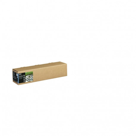 Paber Epson C13S450264