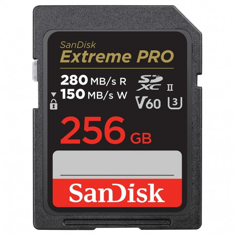 "CARD PRO 256GB V60 UHS-II S"