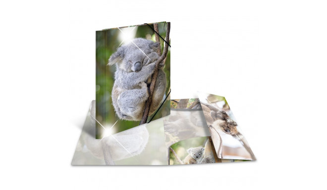 "HERMA Sammelmappe A4 Glossy Koala Polypropylen"