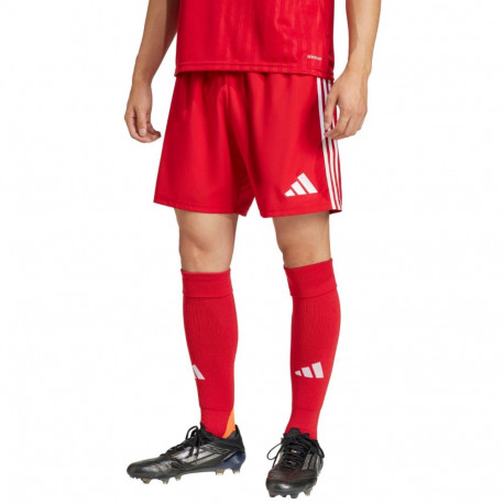 adidas meeste lühikesed püksid Tastigo 25 JN7157 XL, punane