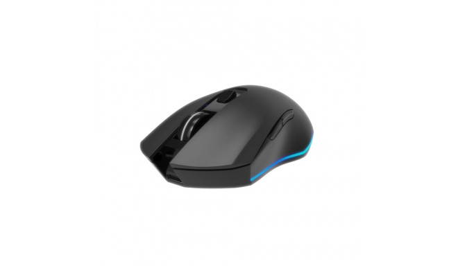 Computer mouse Gembird RGB Firebolt Black 8716309133210