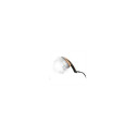 Tefal Ixeo Power QT2020 Garment Steamer