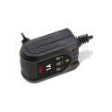 regenereeriv alaldi mikroprotsessoriga AEG 1.0 12V, 1A