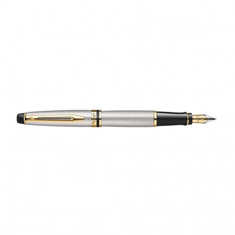 Waterman Expert fountain pen