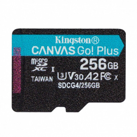 Mälukaart microSD 256GB Canvas Go! Plus 200MB/s A2 U3 V30