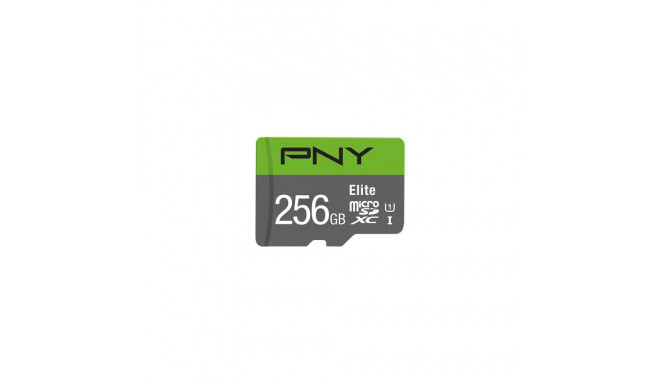 "CARD Micro XC Card 256GB PNY Elite Cl.10 U1 retail"