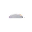 HATOR Quasar 3 Wireless mouse Gaming Ambidextrous RF Wireless + Bluetooth + USB Type-A Optical 12000