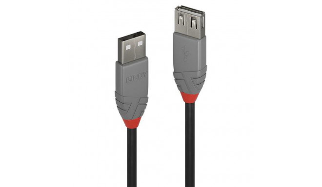 Lindy 0.2m USB 2.0 Type A Extension Cable, Anthra Line