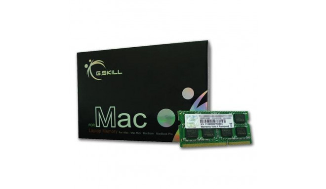 G.Skill 8GB DDR3-1600 memory module 1 x 8 GB 1600 MHz