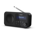 Sharp DR-P420 Portable Digital Black