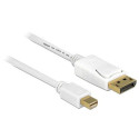 DeLOCK 83481 DisplayPort cable 1 m Mini DisplayPort White