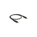 DeLOCK 83042 USB cable USB 3.2 Gen 2 (3.1 Gen 2) 0.5 m USB C Black