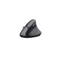 Trust TM-270 mouse Office Right-hand RF Wireless Optical 2400 DPI