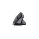 Trust TM-270 mouse Office Right-hand RF Wireless Optical 2400 DPI