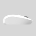 Inca IWM-241RB mouse Right-hand RF Wireless