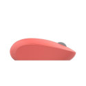 Inca IWM-241RT mouse Right-hand RF Wireless