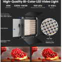 Neewer valgustikomplekt NL660 LED 2x40W